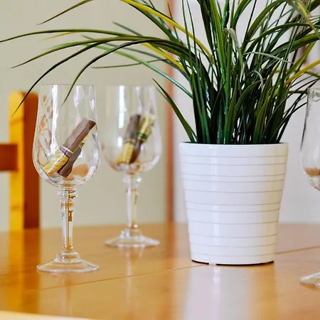 Appartement Tinegre