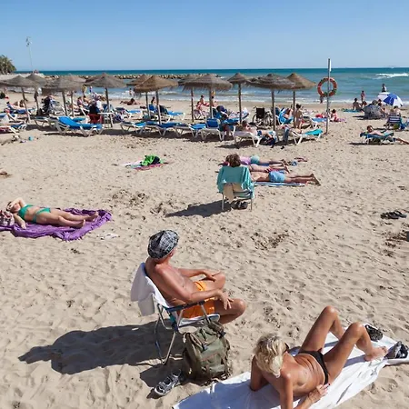 Tinegre Torrevieja